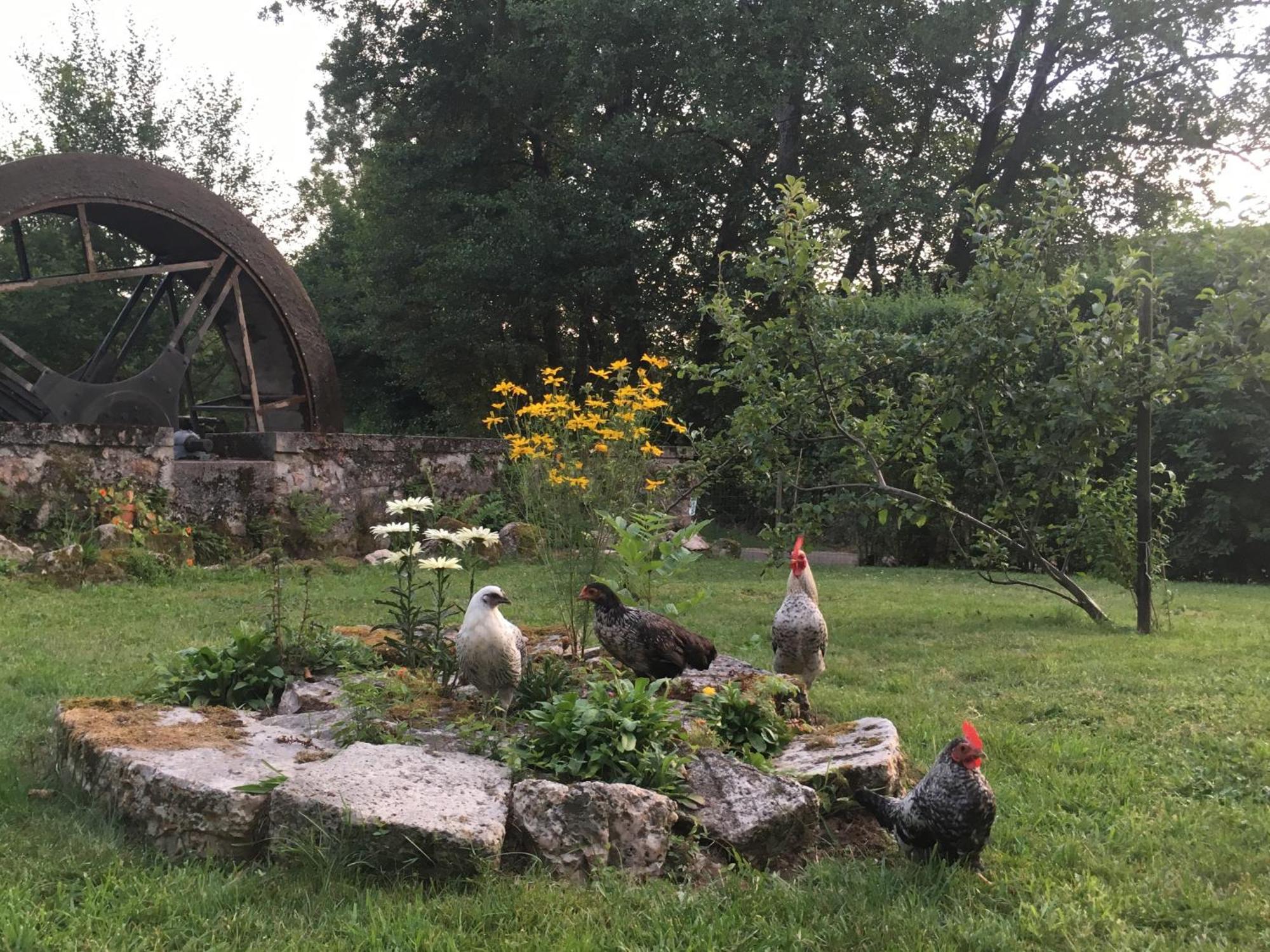 Bed and Breakfast Le Moulin De Razou Brassy Exteriér fotografie